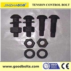 A325 Tension control bolt  BLACK  (ISO9001:2000 CERTIFIED)